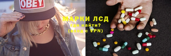 индика Алзамай