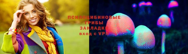 индика Алзамай