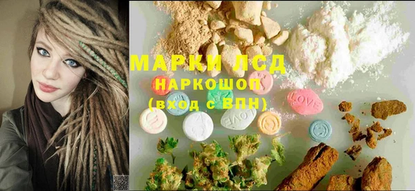 индика Алзамай