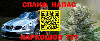 mdpv Лесосибирск