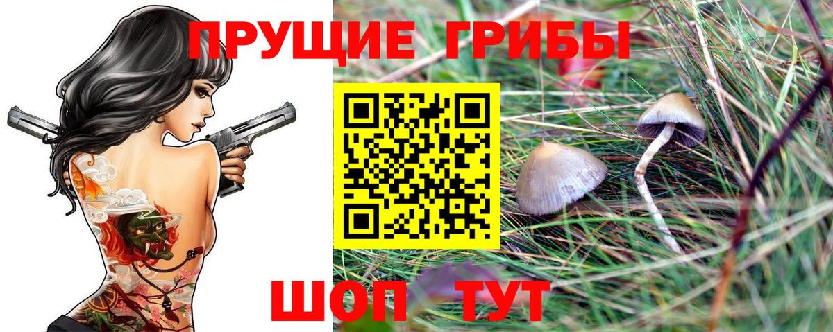 Псилоцибиновые грибы Psilocybine cubensis Ижевск
