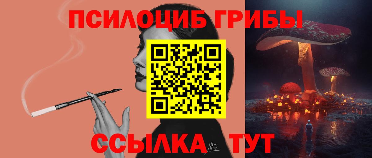 Ижевск  Галлюциногенные грибы Psilocybe  Вход с VPN 