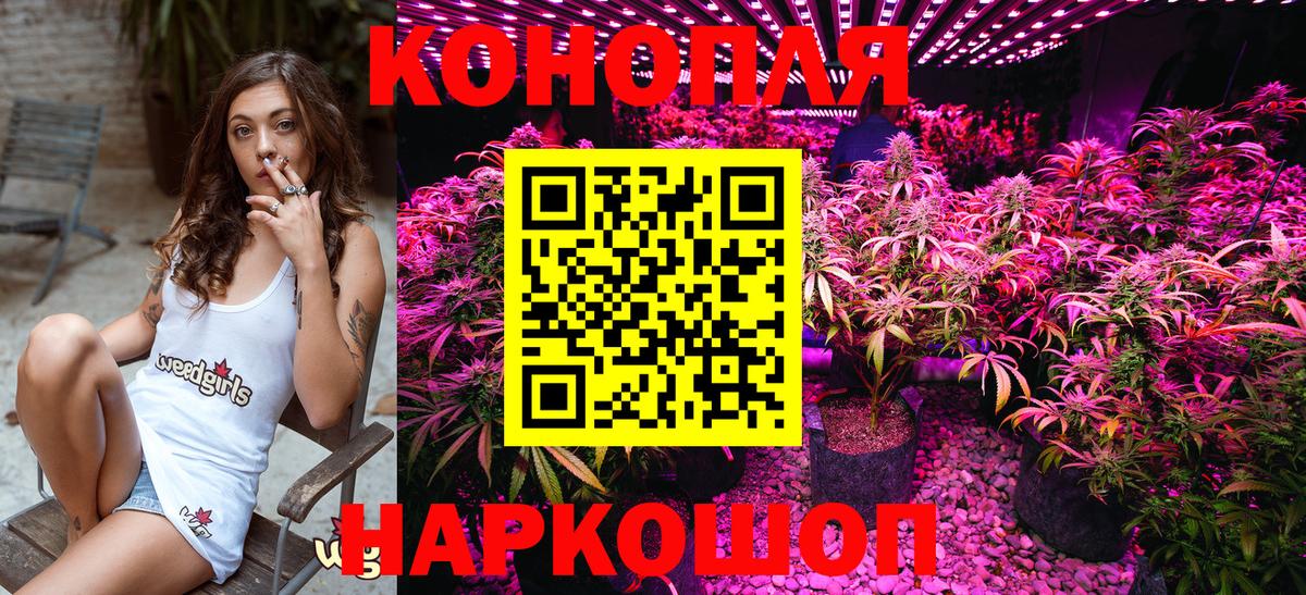 Конопля конопля Ижевск